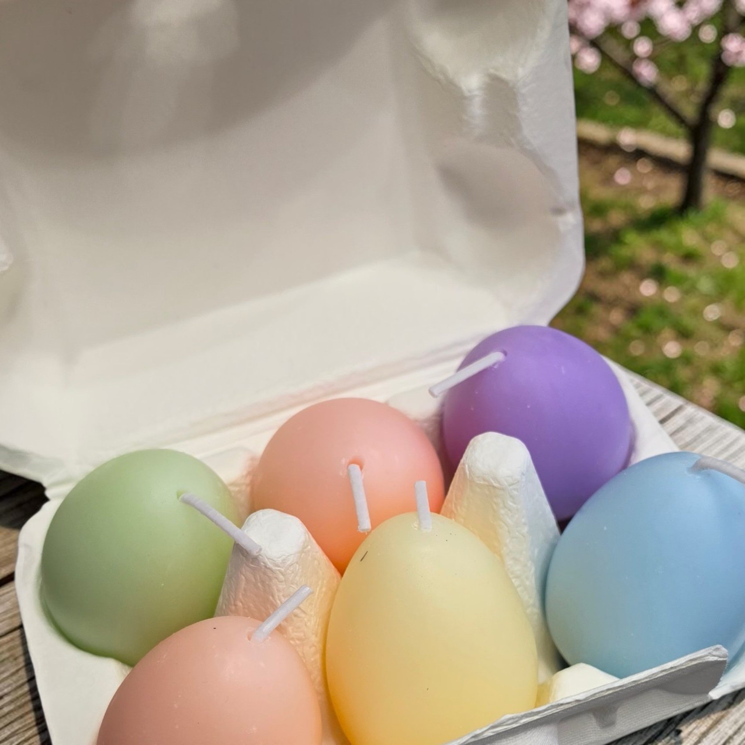 Pastel Egg Soy Candle