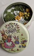 Passion Fruit Succulent Garden Candle